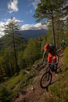 RIDGELINE TRAILS NZF_4265